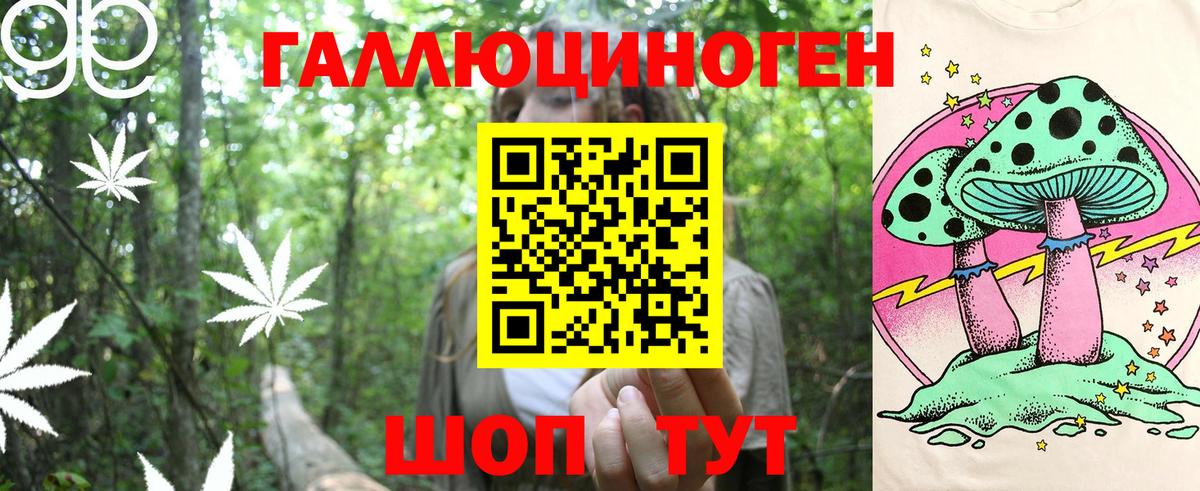 Псилоцибиновые грибы мицелий Заводоуковск