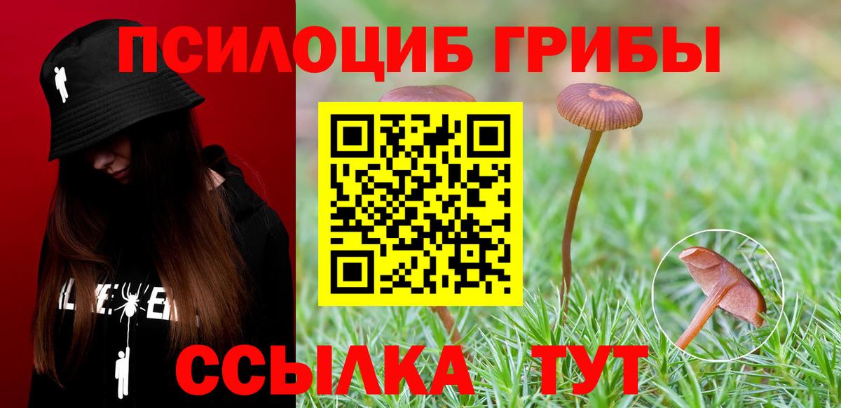 как найти закладки  Псилоцибиновые грибы Cubensis  Заводоуковск  Вход с VPN  Псилоцибиновые грибы Psilocybine cubensis 